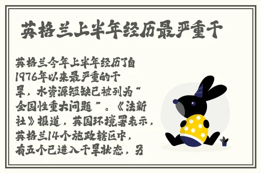 日本道二区免费v