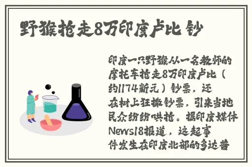 ceKc老太太BK eO